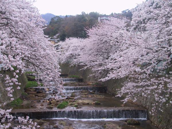 Kadonobo Ryokan Kōbe Extérieur photo